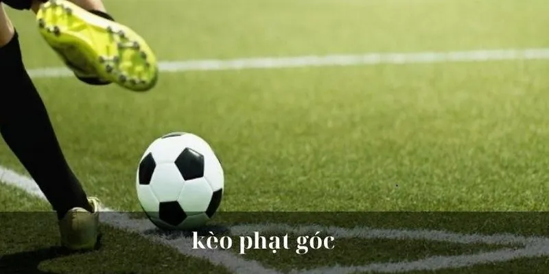 Hiểu rõ luật chơi để cược kèo tài xỉu phạt góc chuẩn xác